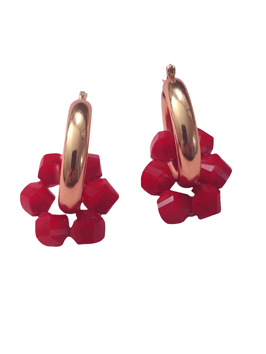 Red Crystal Hoop Earrings ilaments Jewelry